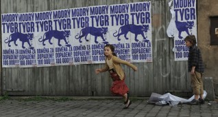 hleda-se-modry-tygr