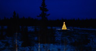 lonely-chistmas-tree