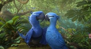 RIO 2