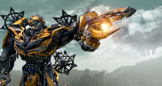 bumblebee-still