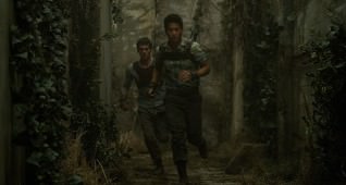 THE MAZE RUNNER