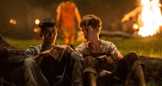 THE MAZE RUNNER