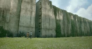 THE MAZE RUNNER