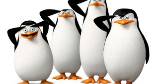 THE PENGUINS OF MADAGASCAR